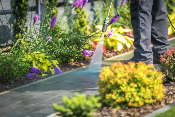 Best Patio and Deck Pressure Washing  in Redwood City, CA